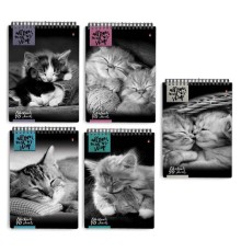 Блокнот А5, 40 л., гребень, ламинированный картон, клетка, Альт, 