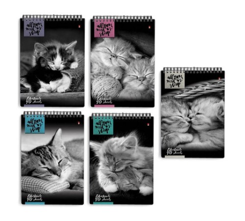 Блокнот А5, 40 л., гребень, ламинированный картон, клетка, Альт, 