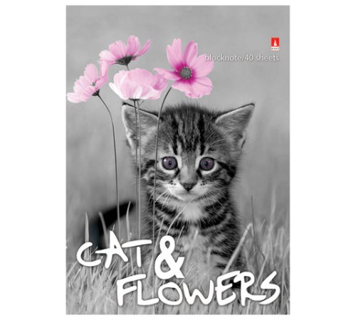 Блокнот МАЛЫЙ ФОРМАТ А6, 40 л., гребень, ламинированный картон, клетка, Альт, 