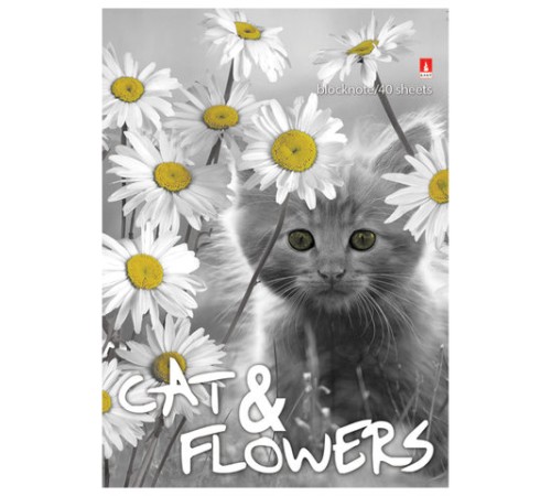 Блокнот МАЛЫЙ ФОРМАТ А6, 40 л., гребень, ламинированный картон, клетка, Альт, 