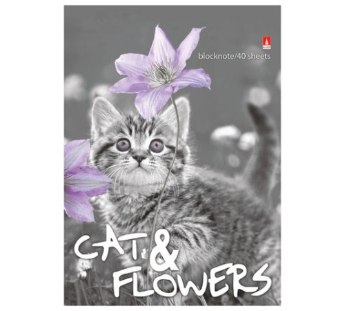 Блокнот МАЛЫЙ ФОРМАТ А6, 40 л., гребень, ламинированный картон, клетка, Альт, 