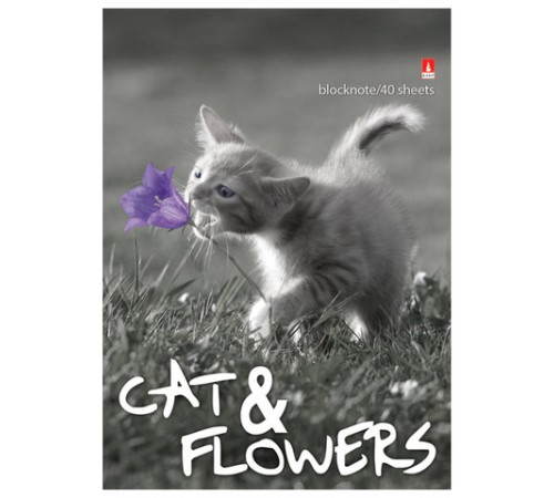 Блокнот МАЛЫЙ ФОРМАТ А6, 40 л., гребень, ламинированный картон, клетка, Альт, 