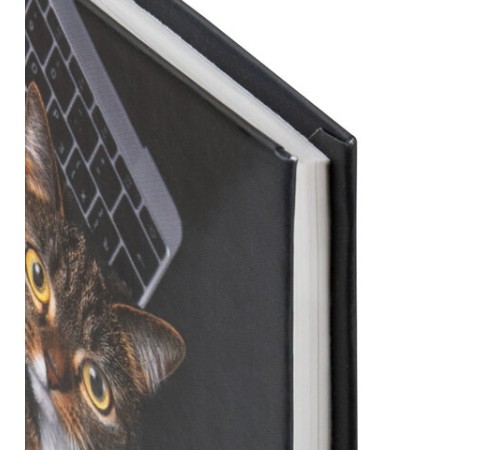 Блокнот А5 (135х206 мм), 80 л., твердый, выборочный лак, клетка, STAFF, 