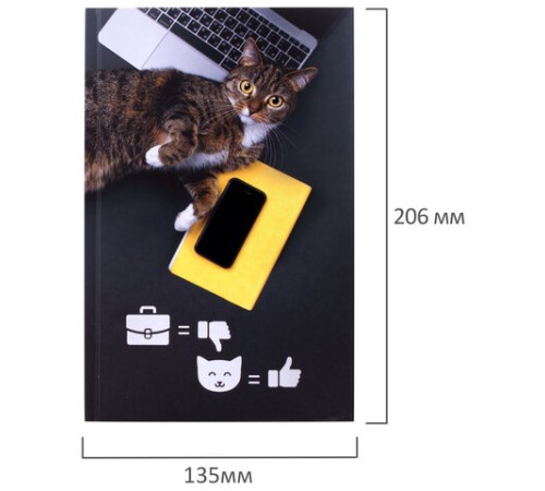 Блокнот А5 (135х206 мм), 80 л., твердый, выборочный лак, клетка, STAFF, 