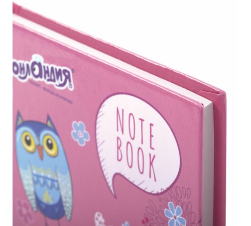 Блокнот МАЛЫЙ ФОРМАТ 110х147 мм, А6, 80 л., твердый, клетка, ЮНЛАНДИЯ, 