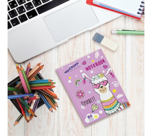 Блокнот МАЛЫЙ ФОРМАТ 110х147 мм, А6, 80 л., твердый, клетка, ЮНЛАНДИЯ, 