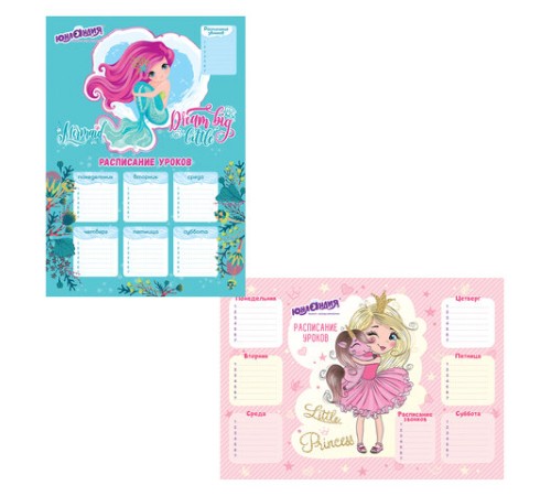 Расписание уроков и звонков А3, ЮНЛАНДИЯ, для девочек, ассорти (2 вида), 111652