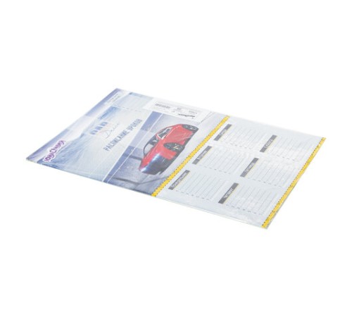 Расписание уроков и звонков А3, ЮНЛАНДИЯ, для мальчиков, ассорти (2 вида), 111653