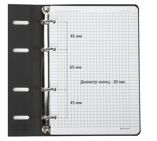 Тетрадь на кольцах А5 (180х220 мм), 80 листов, под кожу, клетка, тиснение фольгой, BRAUBERG VISTA, Butterflies,112128