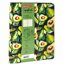 Тетрадь на кольцах А5 (180х220 мм), 80 листов, под кожу, клетка, тиснение фольгой, BRAUBERG VISTA, Avocado, 112130