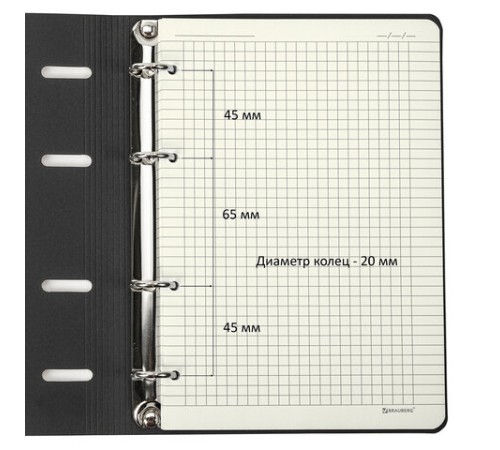 Тетрадь на кольцах А5 (180х220 мм), 80 листов, под кожу, клетка, тиснение фольгой, BRAUBERG VISTA, Avocado, 112130