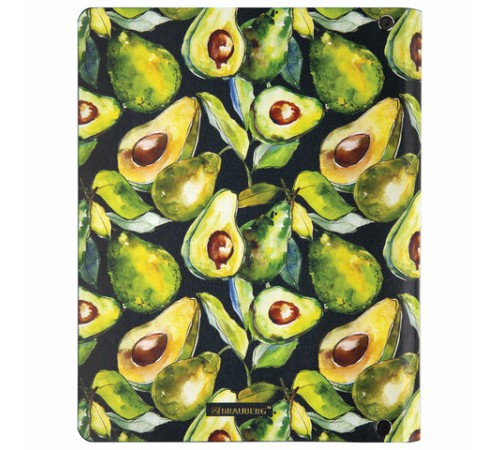 Тетрадь на кольцах А5 (180х220 мм), 80 листов, под кожу, клетка, тиснение фольгой, BRAUBERG VISTA, Avocado, 112130