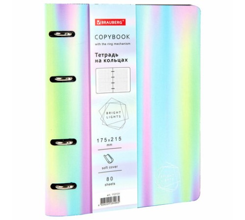 Тетрадь на кольцах А5 (180х220 мм), 80 листов, под кожу, клетка, тиснение фольгой, BRAUBERG VISTA, Gradient, 112131