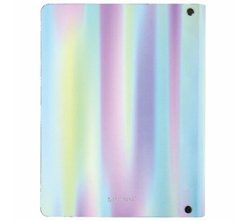 Тетрадь на кольцах А5 (180х220 мм), 80 листов, под кожу, клетка, тиснение фольгой, BRAUBERG VISTA, Gradient, 112131