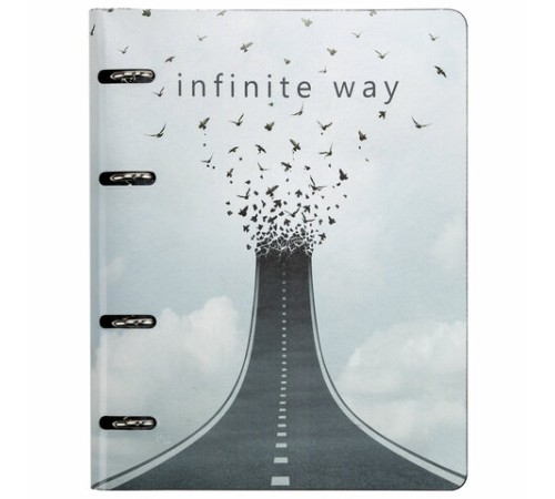 Тетрадь на кольцах А5 (180х220 мм), 80 листов, под кожу, клетка, BRAUBERG VISTA, Infinite way, 112132