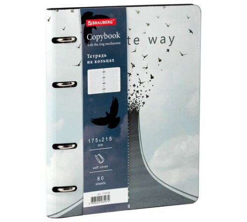 Тетрадь на кольцах А5 (180х220 мм), 80 листов, под кожу, клетка, BRAUBERG VISTA, Infinite way, 112132