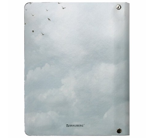 Тетрадь на кольцах А5 (180х220 мм), 80 листов, под кожу, клетка, BRAUBERG VISTA, Infinite way, 112132