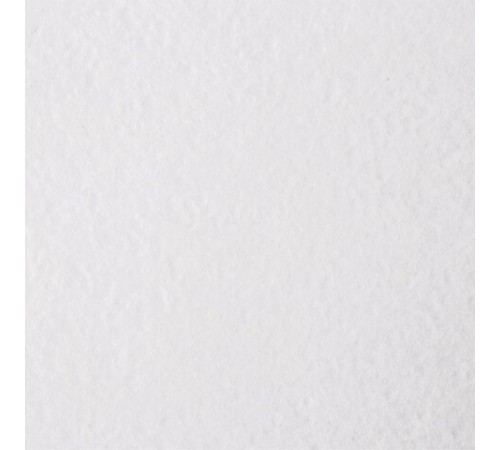 Бумага для акварели А4, 40 л., 200 г/м2, ГОЗНАК СПб, в коробке, BRAUBERG ART CLASSIC, 