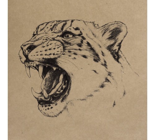 Папка для рисования и эскизов, крафт-бумага 140 г/м2, А3 (297x414 мм), 20 л., BRAUBERG ART CLASSIC, 112482