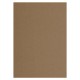 Крафт-бумага для графики, эскизов А4(210х297мм), 160г/м2, 100л, BRAUBERG ART CLASSIC,112487