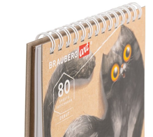 Скетчбук, белая бумага 120 г/м2 + крафт 80 г/м2 195х195 мм, 60 + 20 л., гребень, BRAUBERG ART DEBUT, 112983