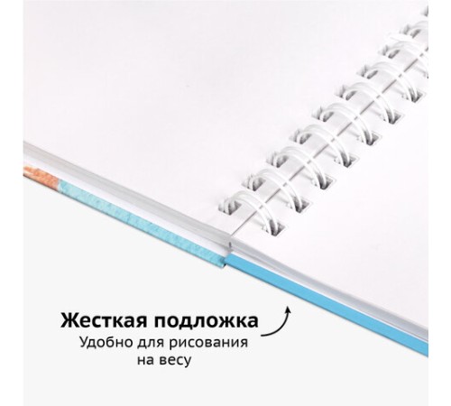 Скетчбук, белая бумага 100 г/м2, 210х290 мм, 80 л., гребень, твердая обложка, BRAUBERG ART DEBUT, 112987