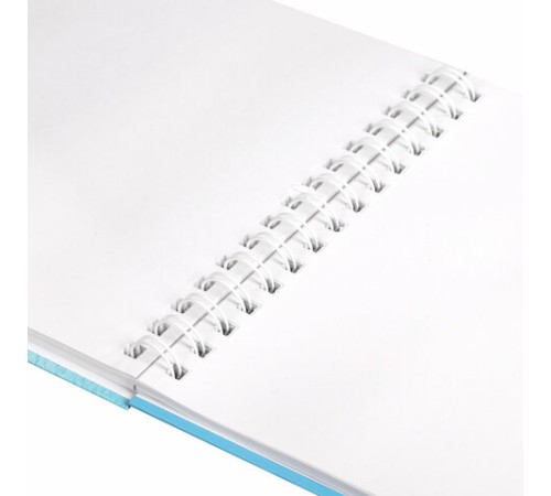 Скетчбук, белая бумага 100 г/м2, 210х290 мм, 80 л., гребень, твердая обложка, BRAUBERG ART DEBUT, 112987