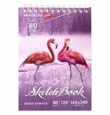 Скетчбук, белая бумага 120 г/м2 165х240 мм, 80 л., гребень, твердая обложка, BRAUBERG ART DEBUT, 112990