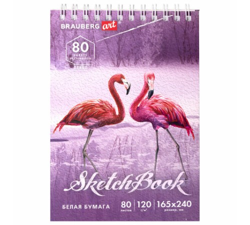 Скетчбук, белая бумага 120 г/м2 165х240 мм, 80 л., гребень, твердая обложка, BRAUBERG ART DEBUT, 112990