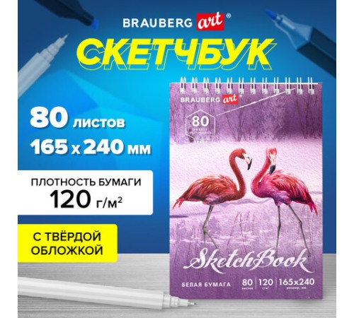 Скетчбук, белая бумага 120 г/м2 165х240 мм, 80 л., гребень, твердая обложка, BRAUBERG ART DEBUT, 112990