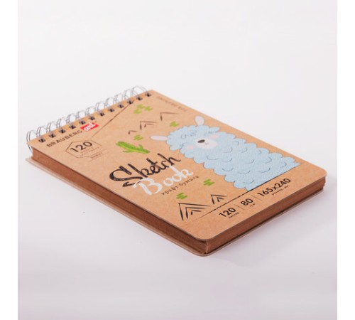 Скетчбук, крафт-бумага 80 г/м2, 165х240 мм, 120 л., гребень, твердая обложка, BRAUBERG ART DEBUT, 112999