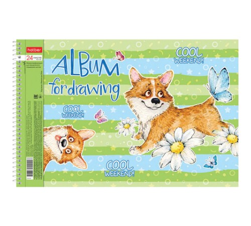 Альбом для рисования А4 24 л., спираль, обложка картон, HATBER, 205х290 мм, 
