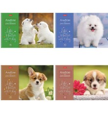 Альбом для рисования А4 40 л., спираль, обложка картон, HATBER, 205х290 мм, 