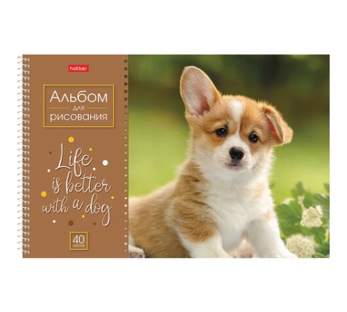 Альбом для рисования А4 40 л., спираль, обложка картон, HATBER, 205х290 мм, 