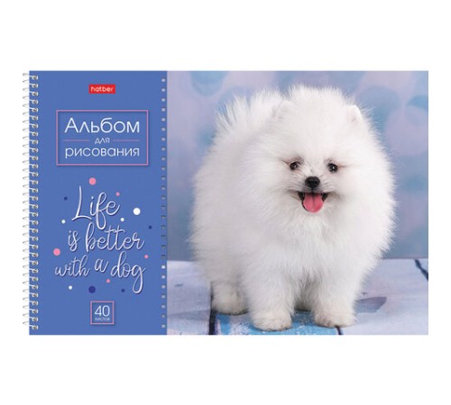 Альбом для рисования А4 40 л., спираль, обложка картон, HATBER, 205х290 мм, 