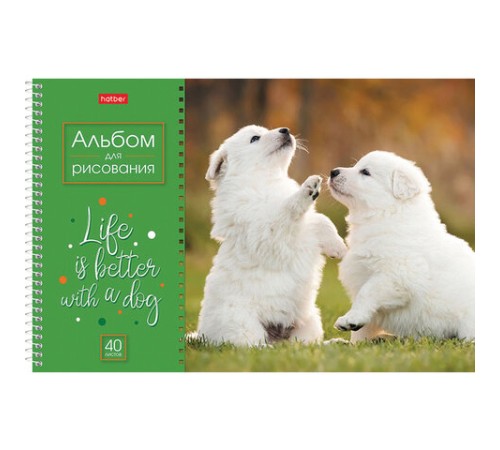 Альбом для рисования А4 40 л., спираль, обложка картон, HATBER, 205х290 мм, 