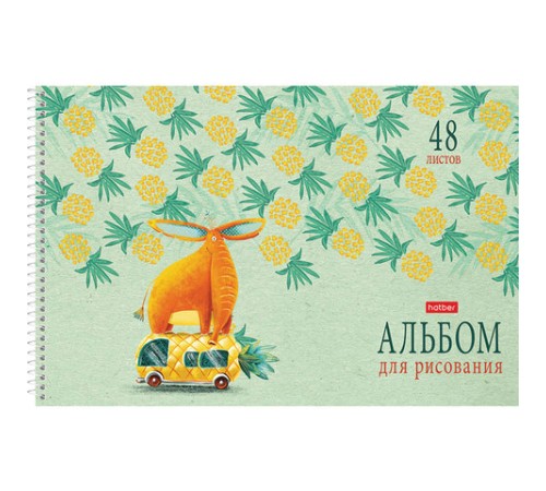 Альбом для рисования А4 48 л., спираль, обложка картон, HATBER, 205х290 мм, 