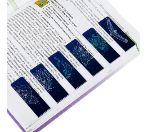 Закладки для книг МАГНИТНЫЕ, 