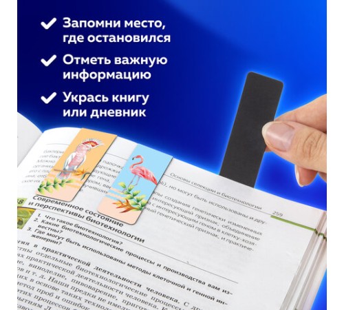 Закладки для книг МАГНИТНЫЕ, 