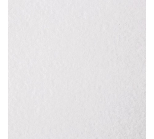 Бумага для акварели А1 (610x860 мм), 1 лист, 200 г/м2, ГОЗНАК СПб, зерно, BRAUBERG ART CLASSIC, 113207