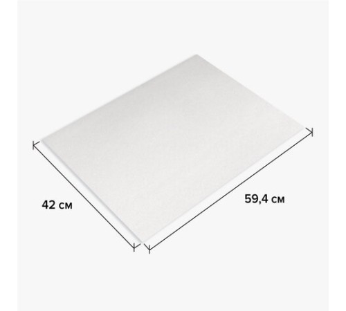 Бумага для акварели А2 420х594 мм, 1 лист, 200 г/м2, ГОЗНАК СПб, зерно, BRAUBERG ART CLASSIC, 113210