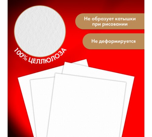 Бумага для акварели 300 г/м2 360x460 мм крупное зерно, 10 листов, BRAUBERG ART PREMIERE, 113229