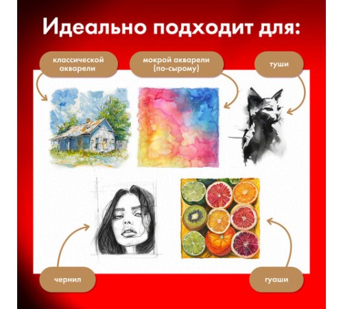 Бумага для акварели 300 г/м2 360x460 мм крупное зерно, 10 листов, BRAUBERG ART PREMIERE, 113229