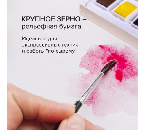 Бумага для акварели 300 г/м2 360x460 мм крупное зерно, 10 листов, BRAUBERG ART PREMIERE, 113229