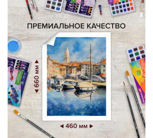 Бумага для акварели 300 г/м2 460x660 мм среднее зерно, 10 листов, BRAUBERG ART PREMIERE, 113233