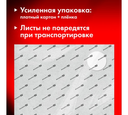 Бумага для акварели 300 г/м2 460x660 мм крупное зерно, 10 листов, BRAUBERG ART PREMIERE, 113234