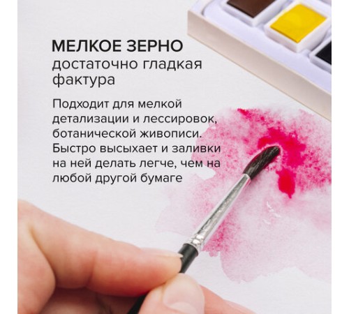 Бумага для акварели 300 г/м2 560x760 мм мелкое зерно, 10 листов, BRAUBERG ART PREMIERE, 113237