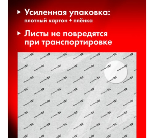 Бумага для акварели 300 г/м2 560x760 мм мелкое зерно, 10 листов, BRAUBERG ART PREMIERE, 113237