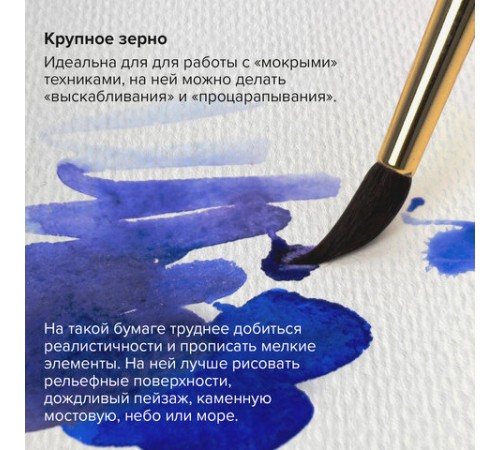 Папка для акварели/планшет, 300 г/м2, 270х390 мм, склейка, крупное зерно, 20 л., BRAUBERG ART PREMIERE, 113250