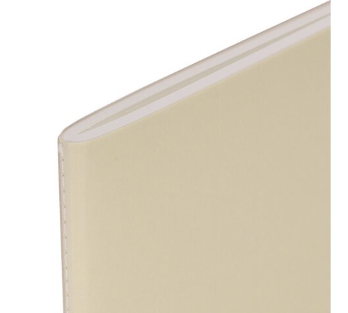 Скетчбук для акварели, 200 г/м2, 195х195 мм, среднее зерно, 20 л., сшивка, резинка, БЕЖЕВЫЙ, BRAUBERG ART PREMIERE, 113260